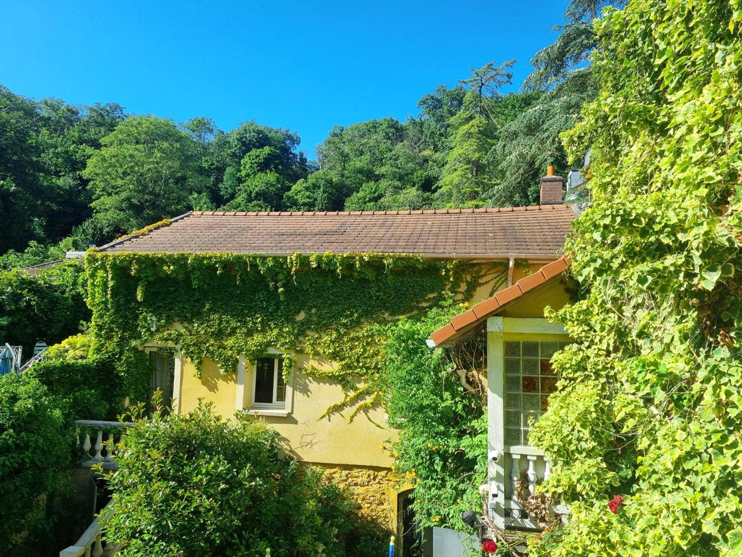 Façade de la maison avec végétation grimpante - loft avec jacuzzi et jardin privatif love room de luxe Paris idéal Saint...