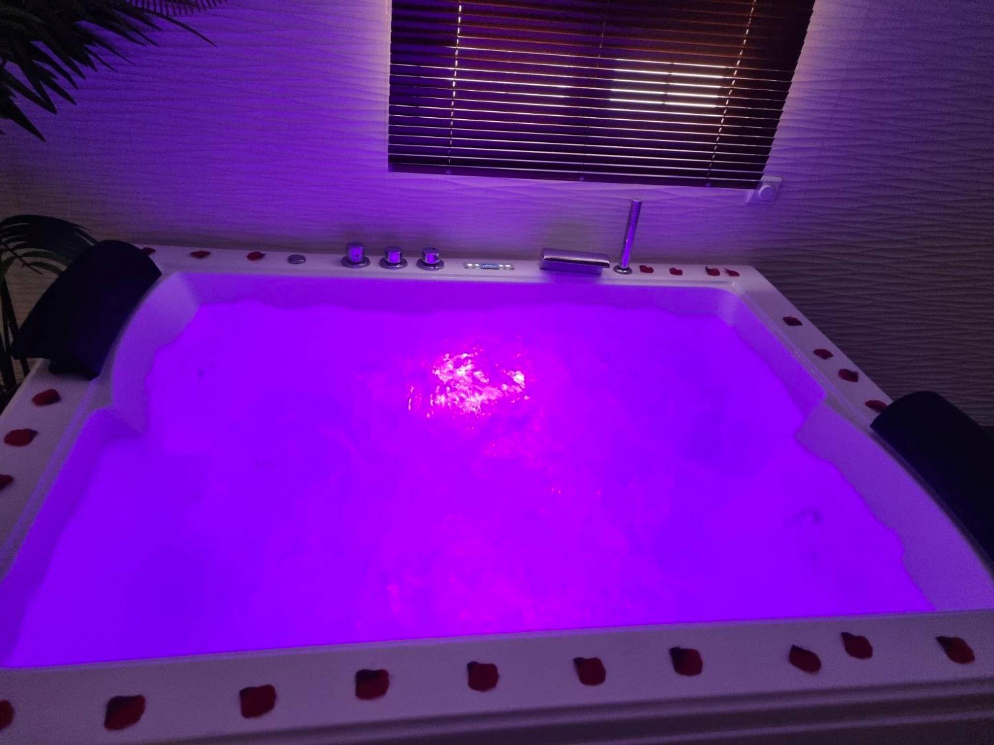 Photo du logement - loft avec jacuzzi et jardin privatif love room de luxe Paris idéal Saint Valentin - Saint - Prix