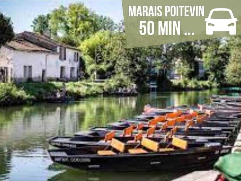 Photo du logement - LOFT Jardin et Spa - Bressuire