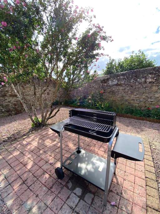 Photo du logement - LOFT Jardin et Spa