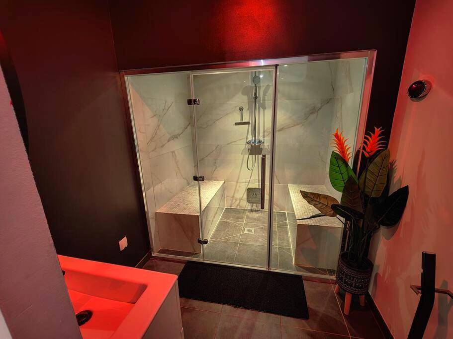 Photo du logement - Le Loft Lens : Jacuzzi - sauna - hammam