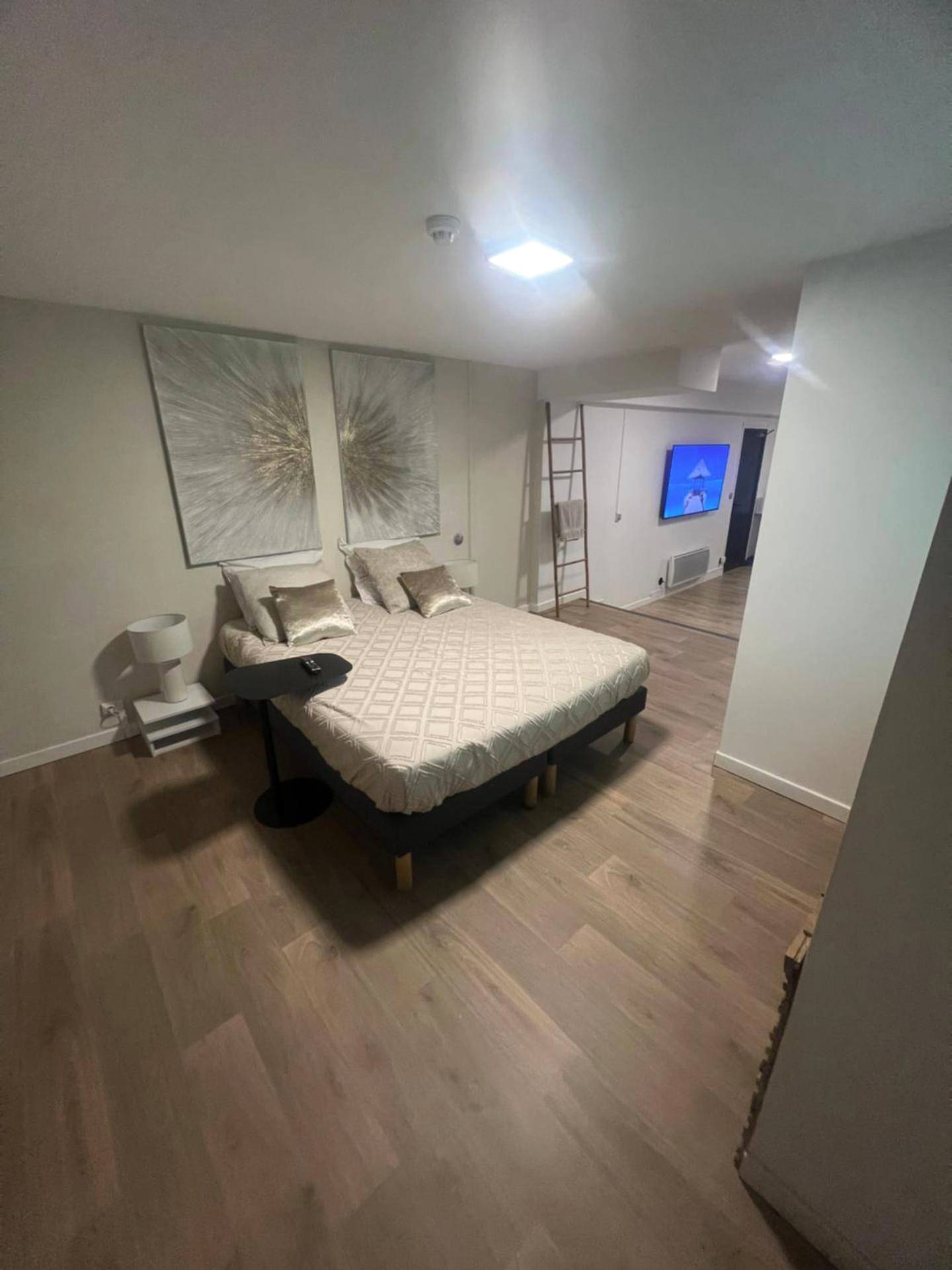 Photo du logement - Loft ravissant 45m2 Jacuzzi RVB NIGHT 2 ÉTABLISSEMENT FERMÉ DÉFINITIVEMENT