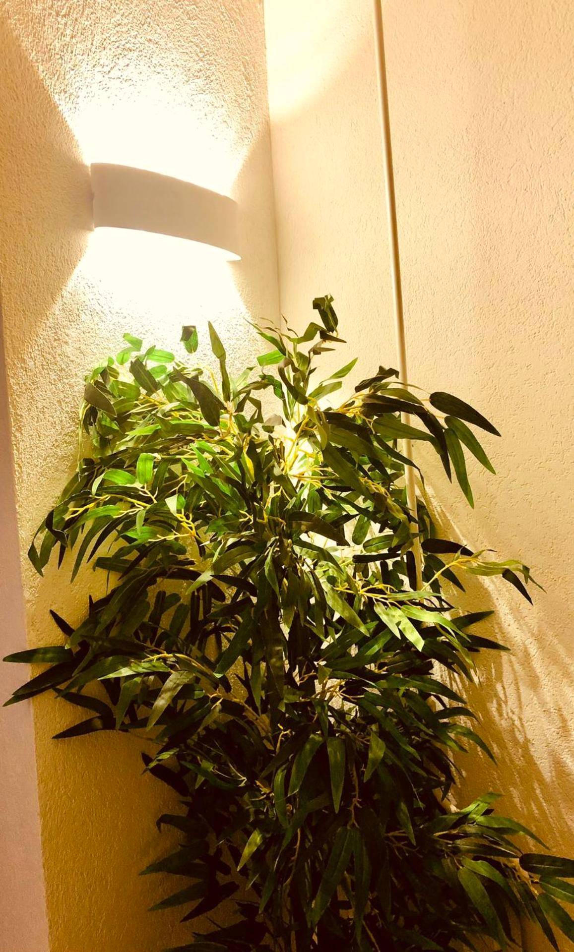 Photo du logement - LOFT CON SPA PRIVATA