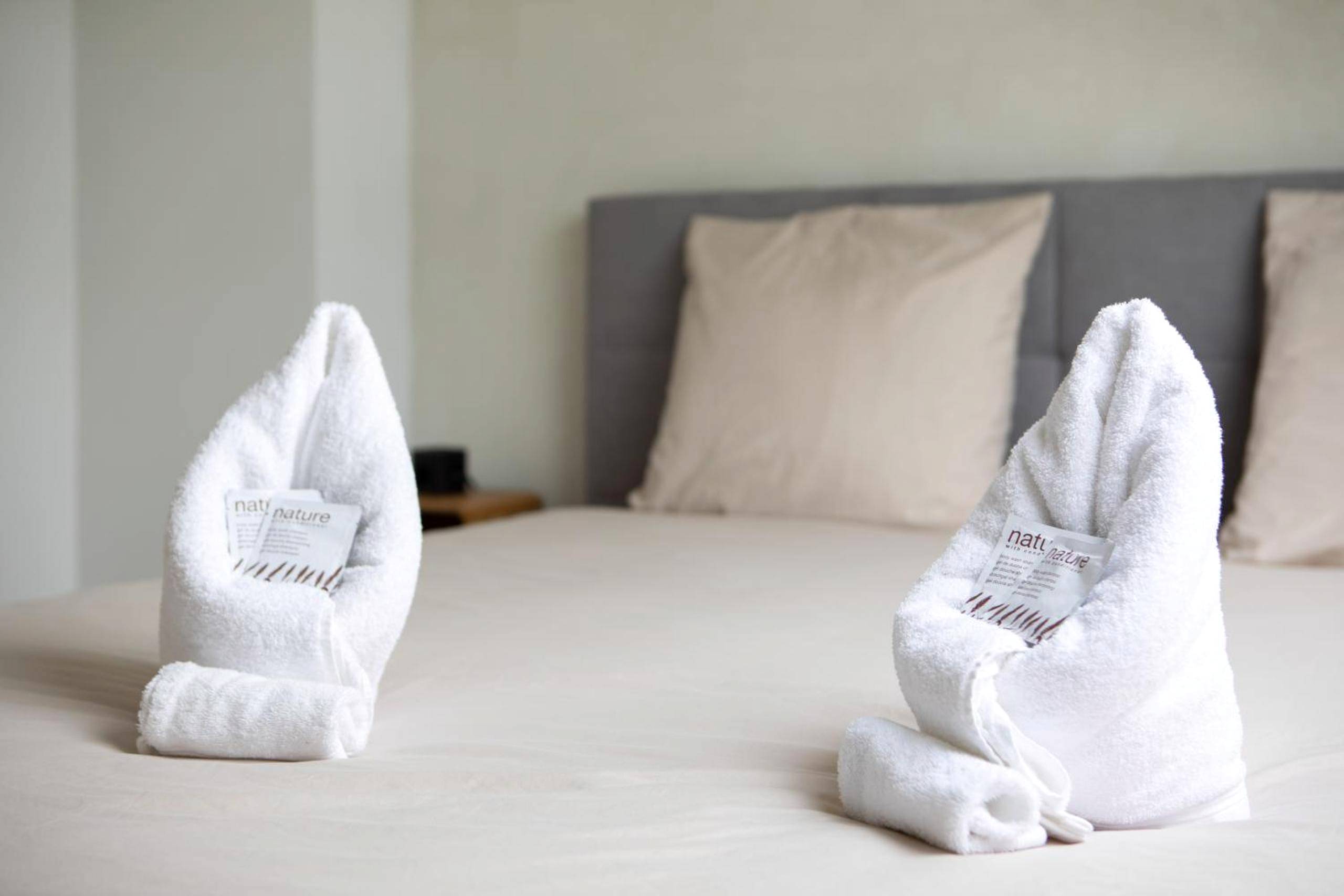 Photo du logement - Sublime Loft, Spa & Sauna - Idéal à Belfort