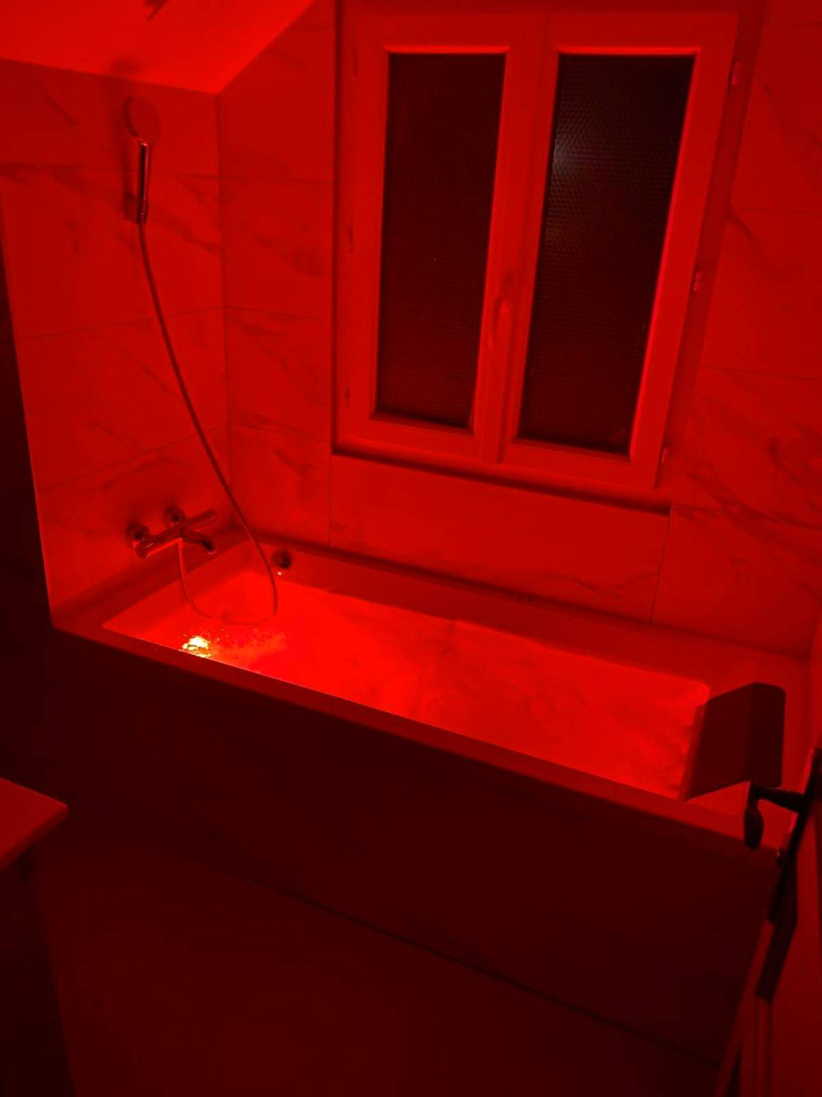 Photo du logement - Love Appart à Thème entre Aix les Bains et Chambéry - Sonnaz