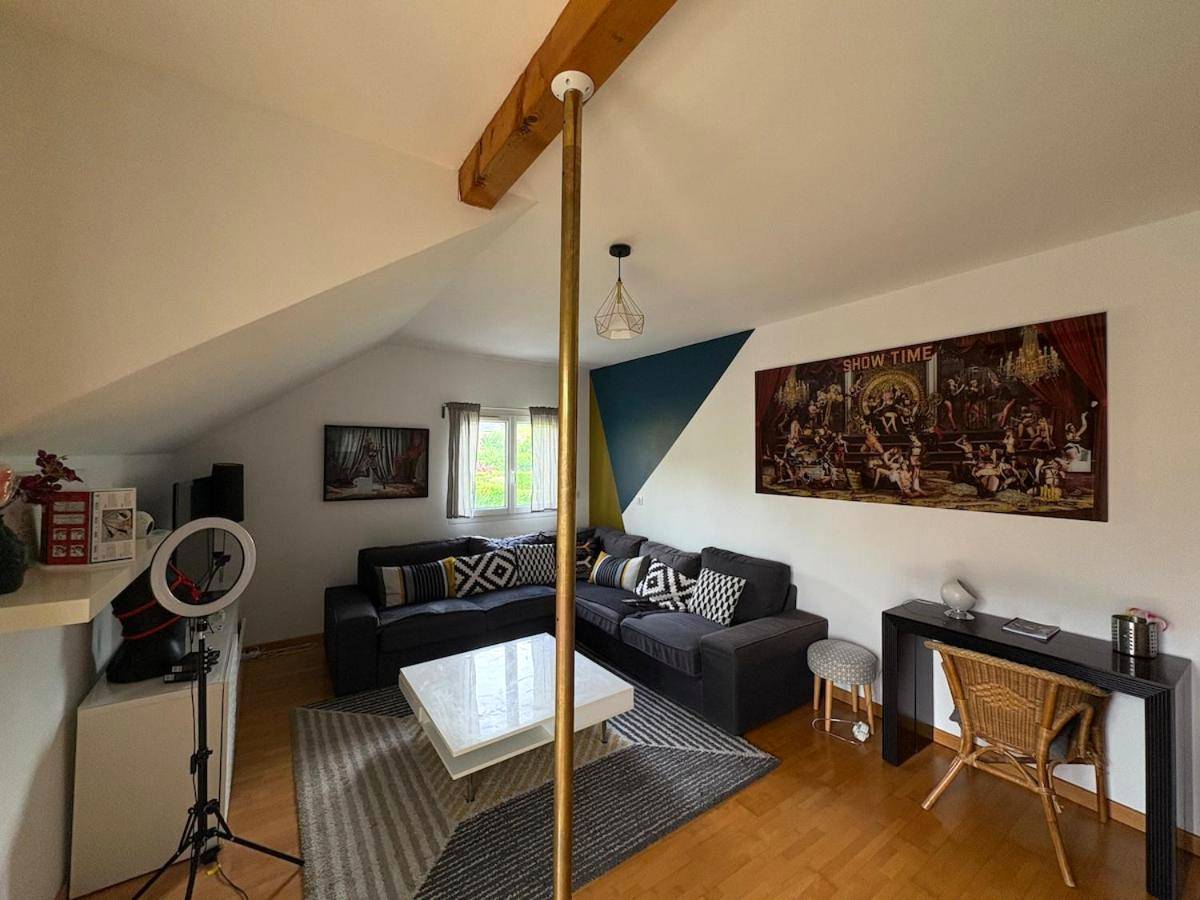 Photo du logement - Love Appart à Thème entre Aix les Bains et Chambéry