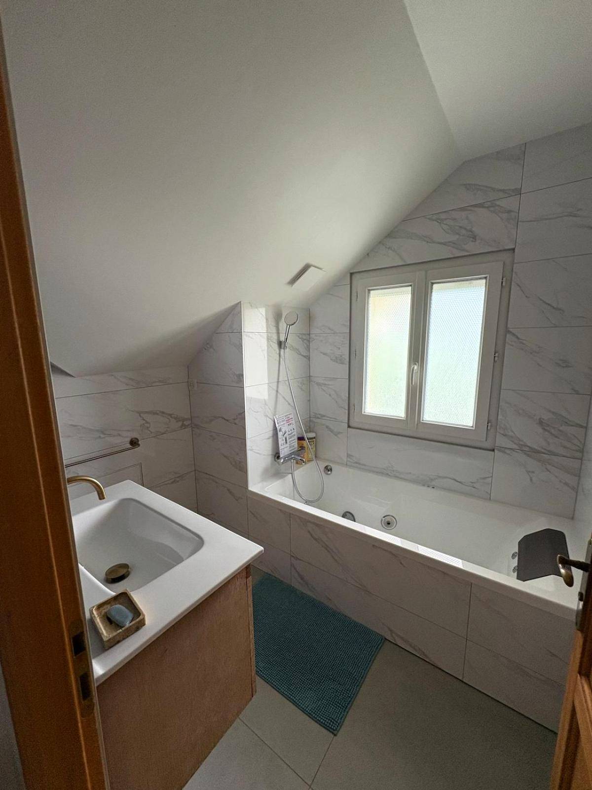 Photo du logement - Love Appart à Thème entre Aix les Bains et Chambéry