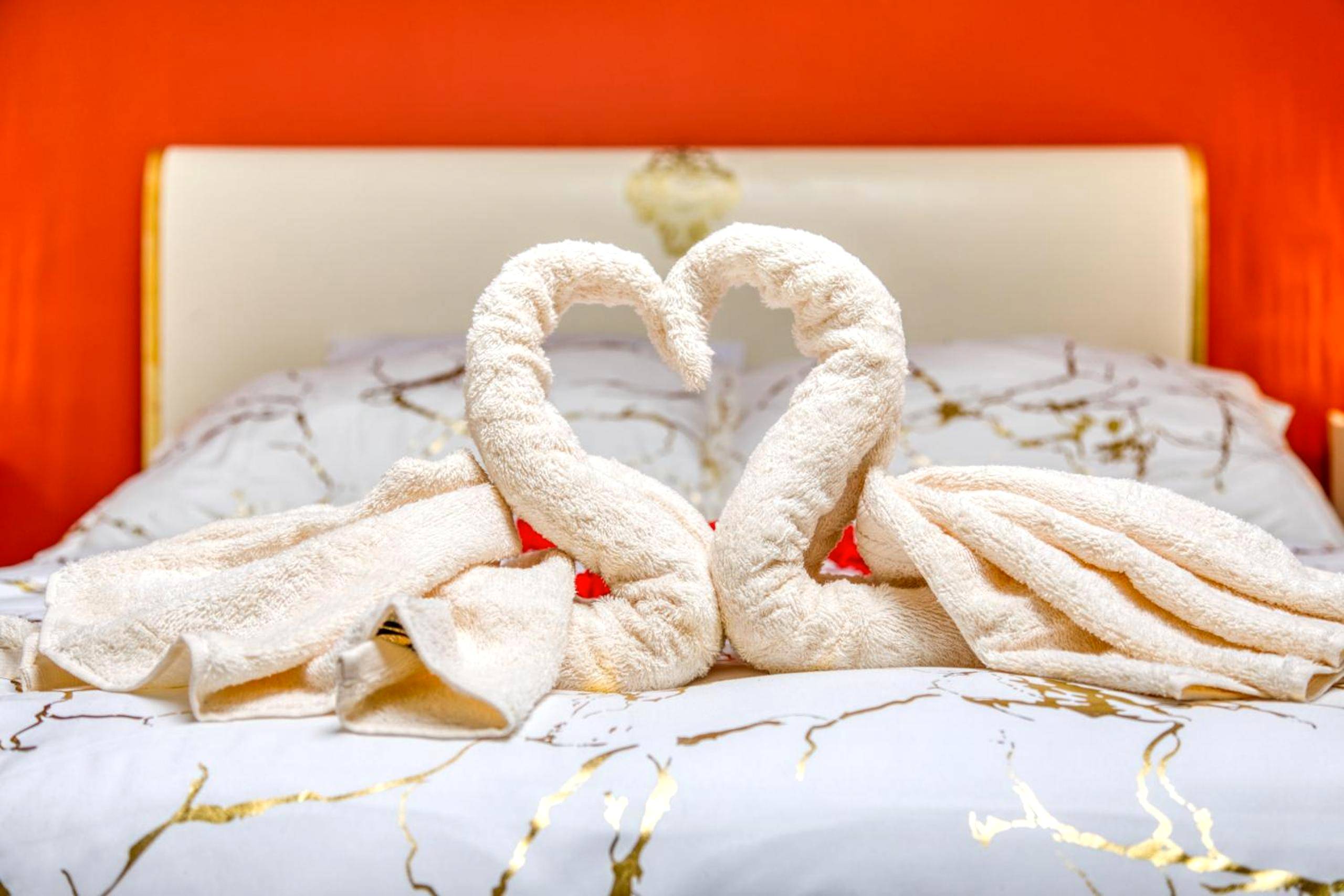 Photo du logement - Le love baroque