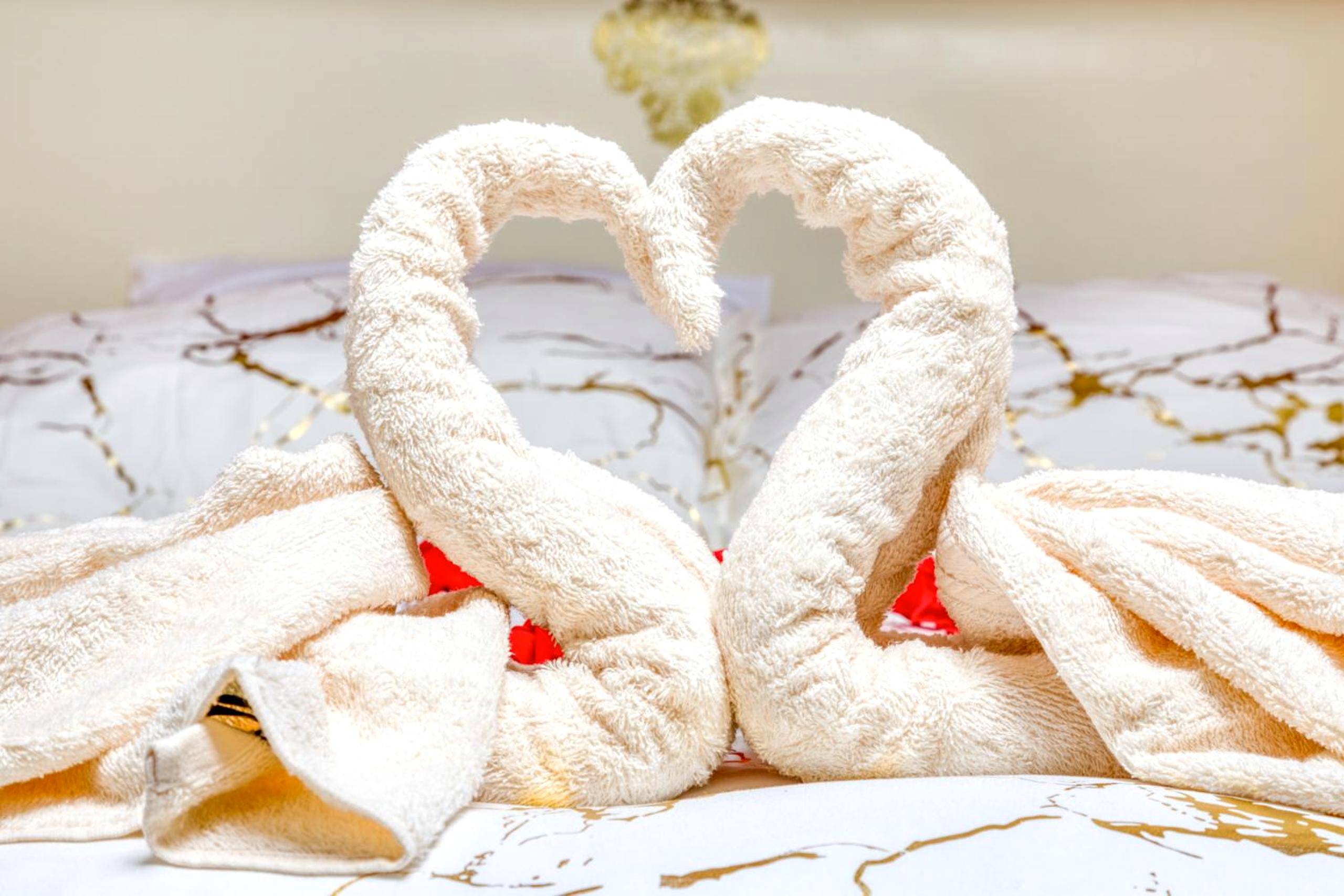 Photo du logement - Le love baroque