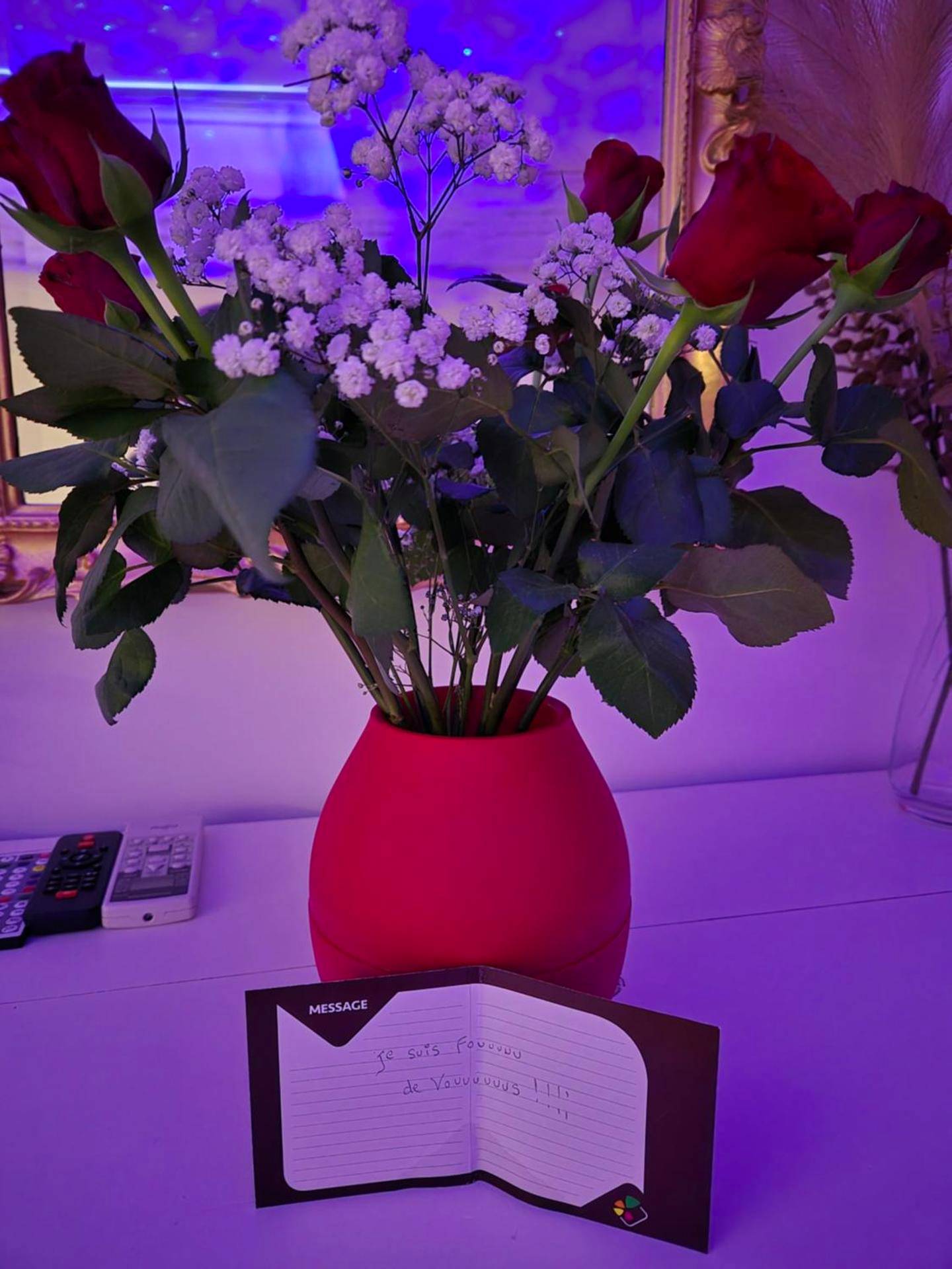 Photo du logement - Le love baroque