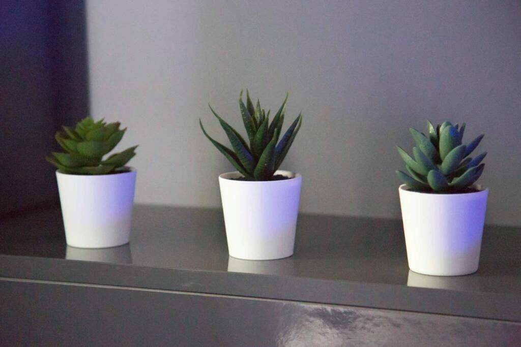 Photo du logement - Gîte Love Dream - Le Gîte Romantique