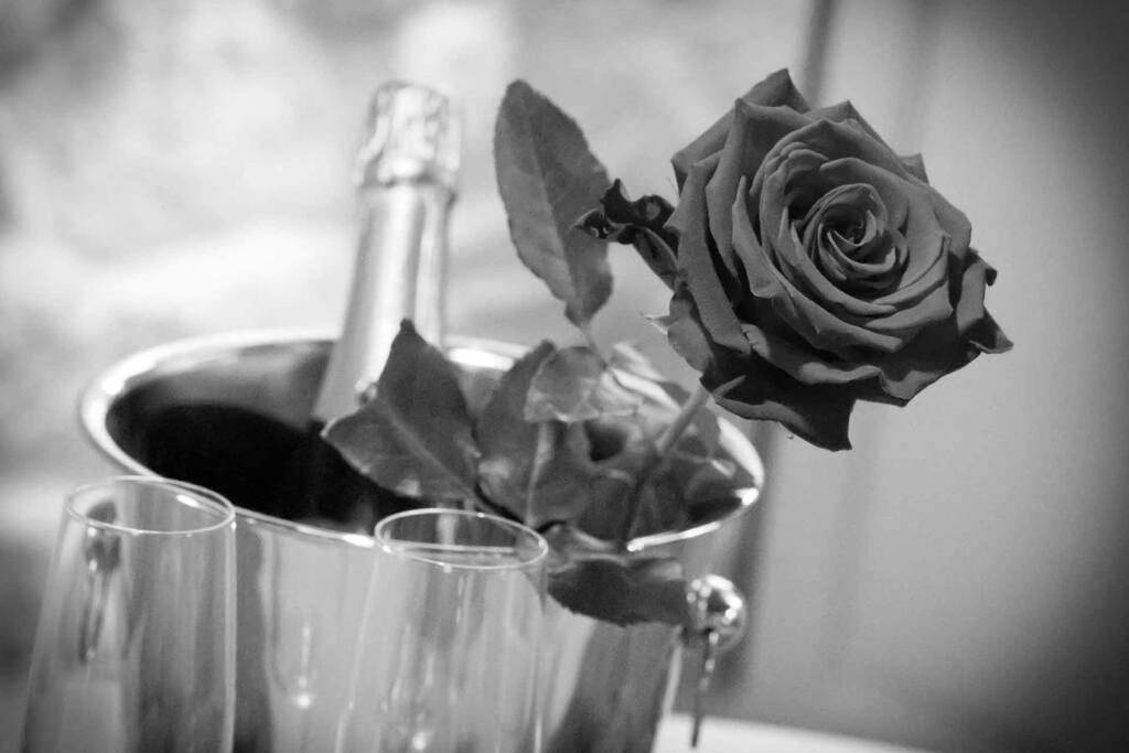 Photo du logement - Gîte Love Dream - Le Gîte Romantique - Ger