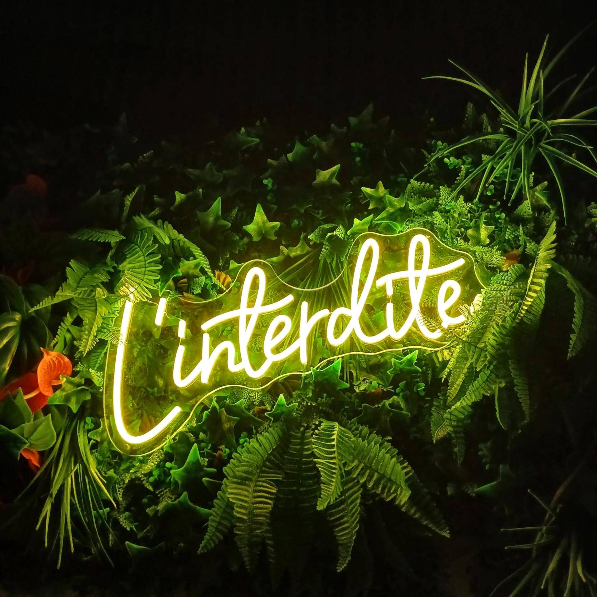 Néon L'interdite sur mur végétal - Love Room Toulon - la love interdite chez loveroomToulon, parking et wifi gratuits
