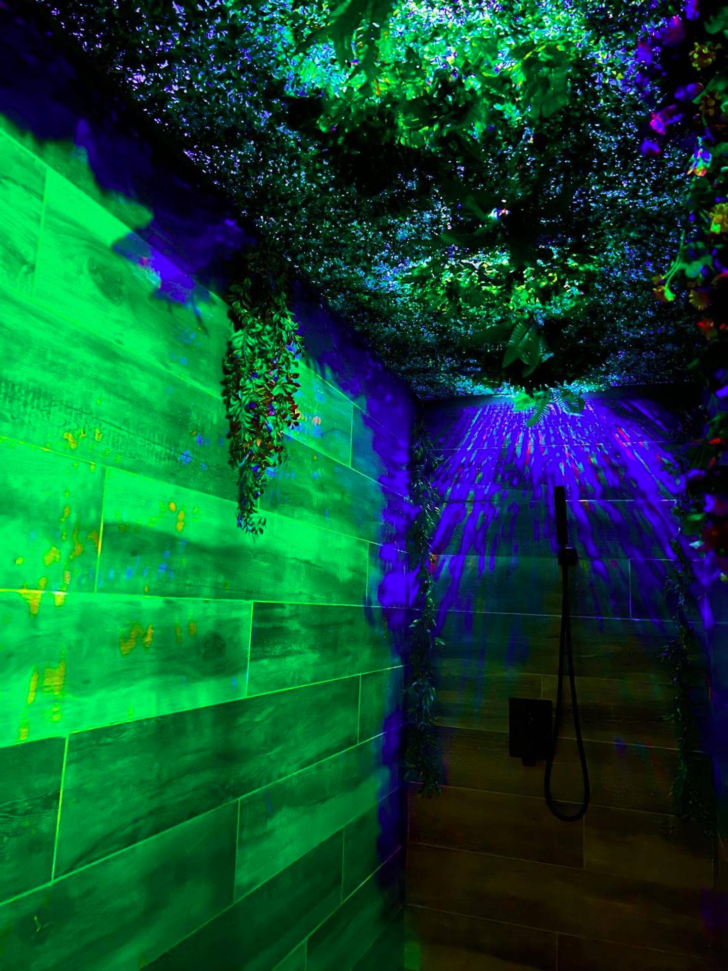 Photo du logement - Love room