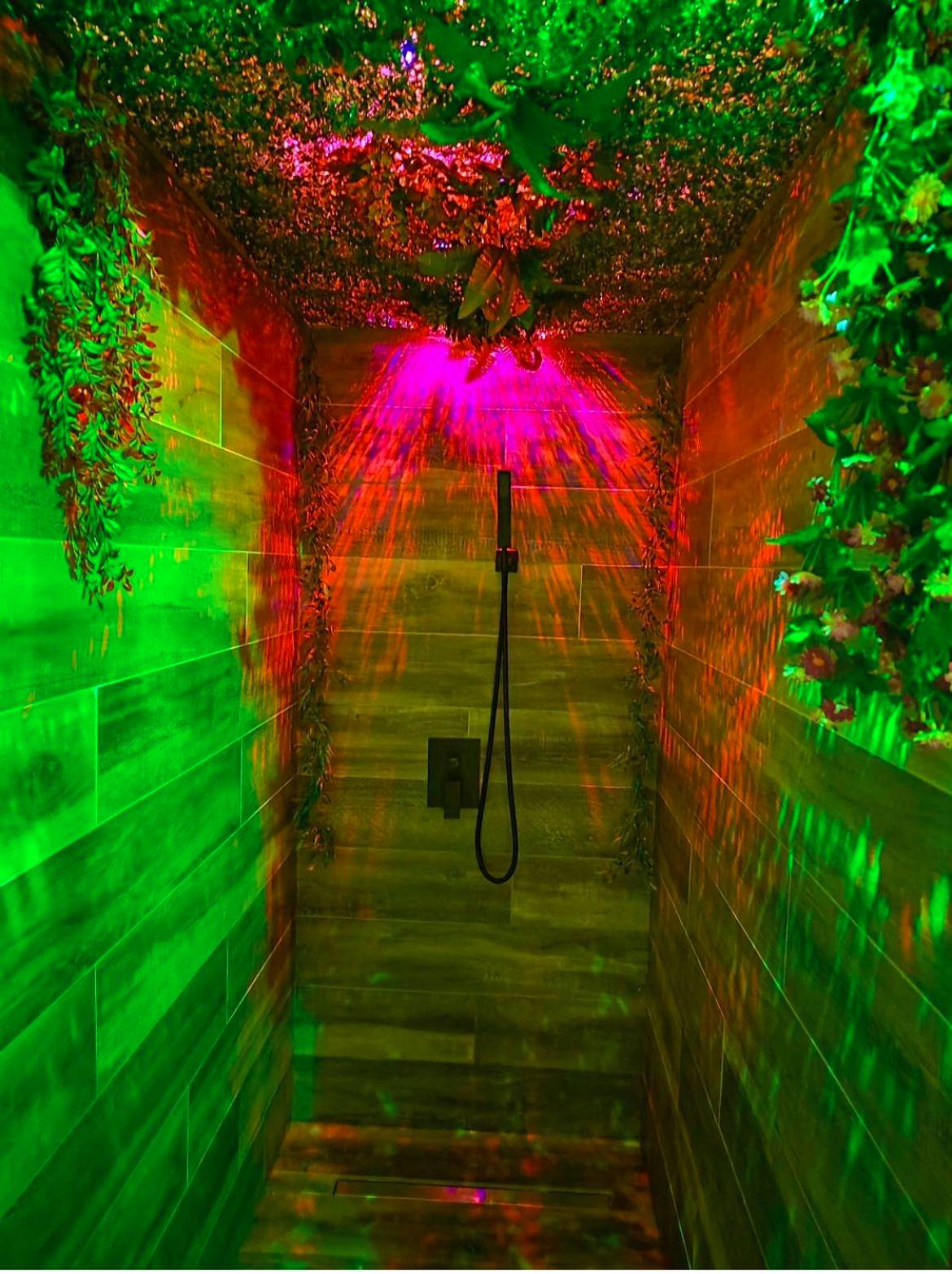 Photo du logement - Love room