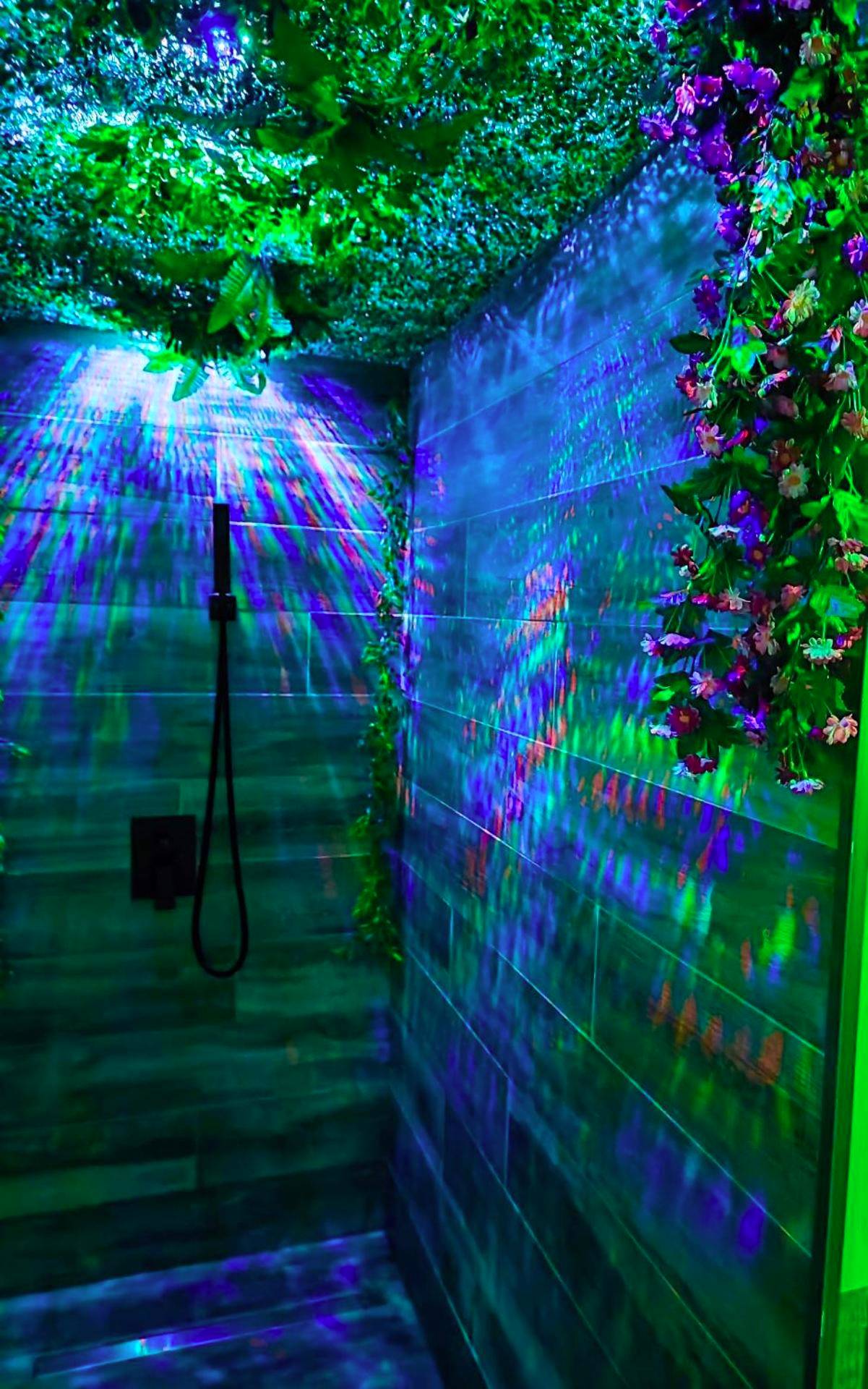 Photo du logement - Love room