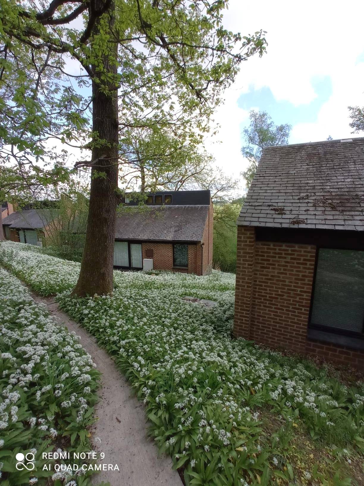 Photo du logement - La Love Story - Auxerre