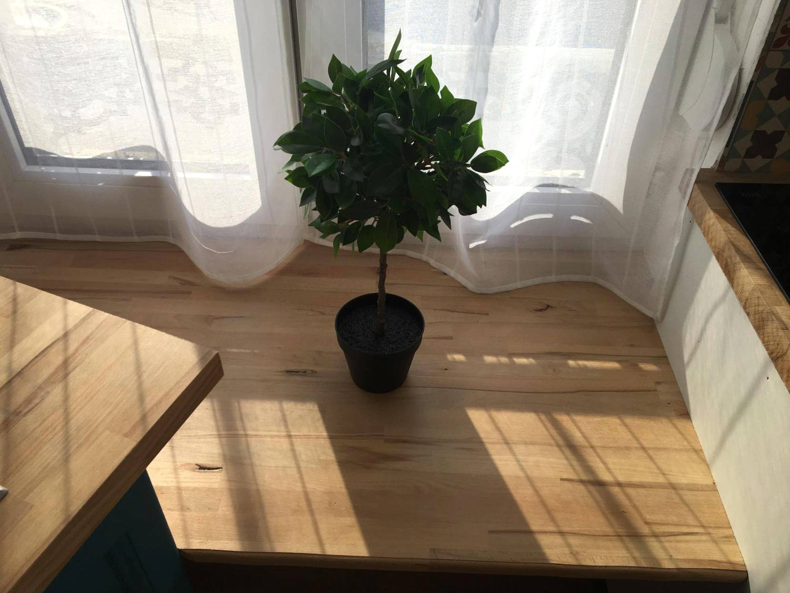 Photo du logement - Lovely Apartment SPA & Sauna