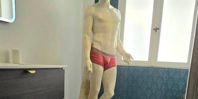 Statue décorative dans salle de bain moderne - Le Lovely cosy jacuzzi centre - ville wifi