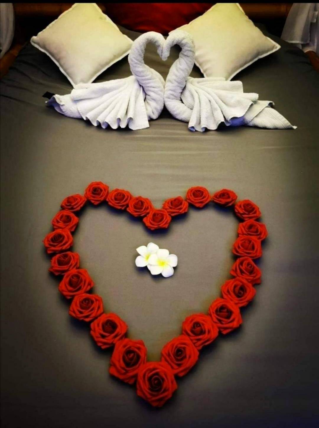 Photo du logement - Lovely