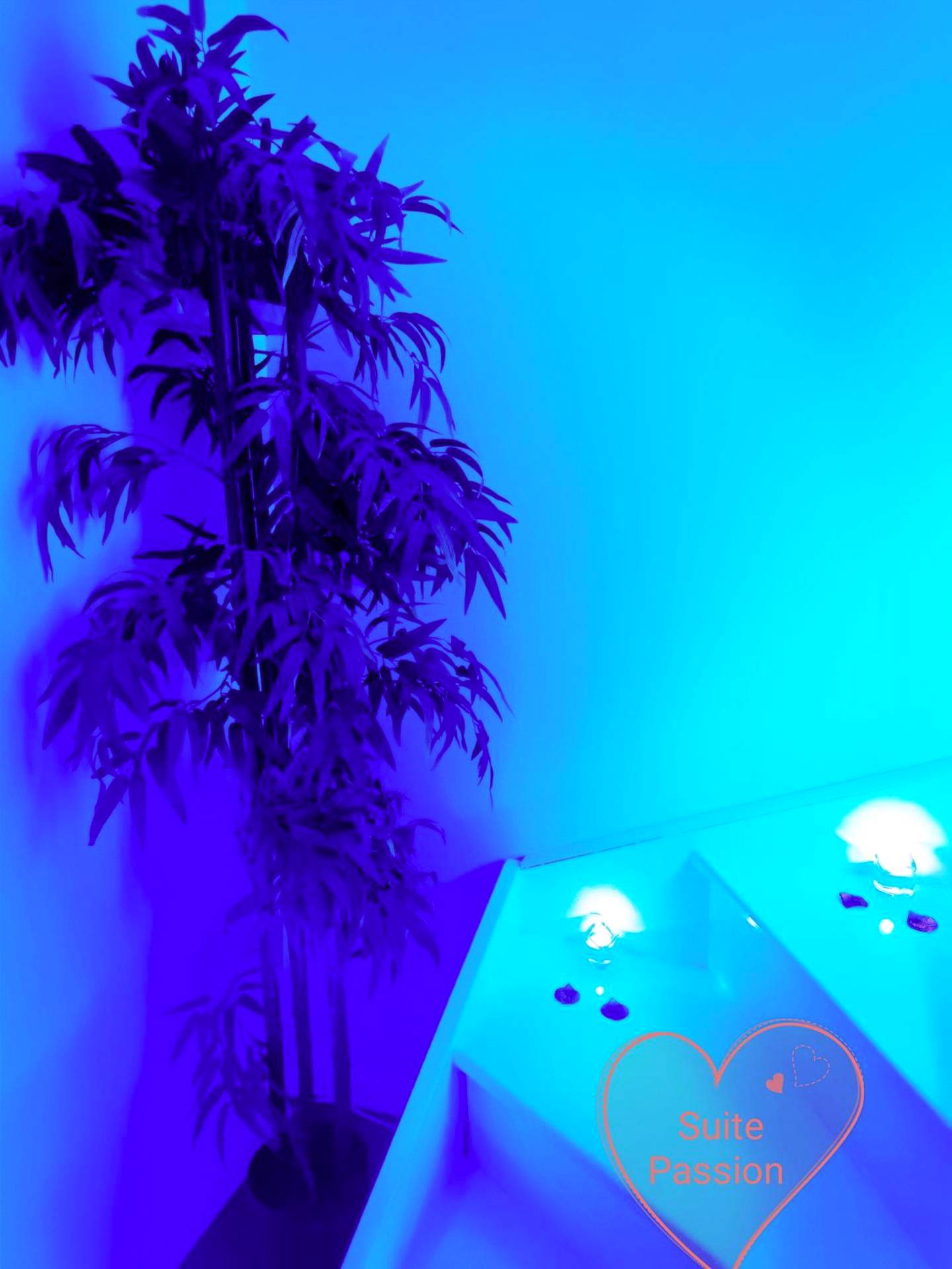 Photo du logement - Lovely