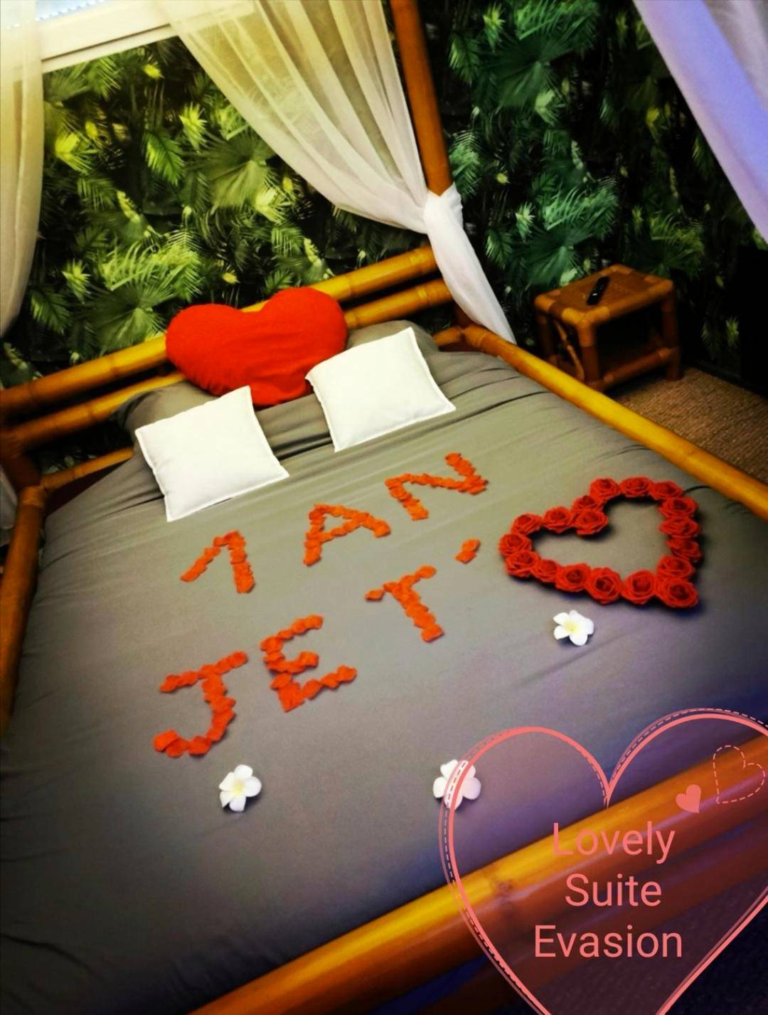 Photo du logement - Lovely