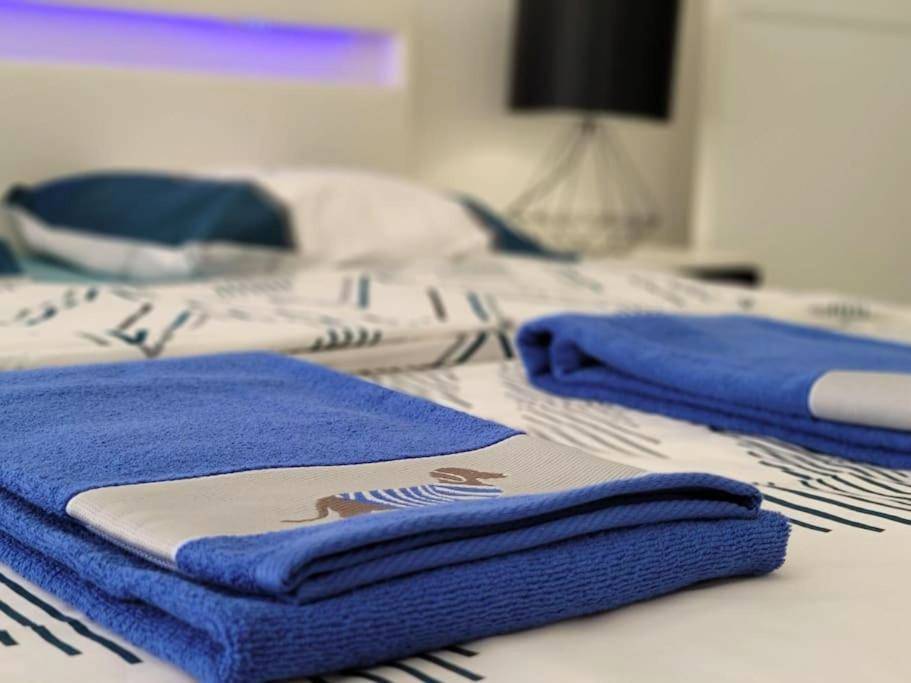 Photo du logement - LE LOVELYHOME au Centre ville avec SPA JACUZZI et SAUNA proche gare et parking gratuit - Colmar