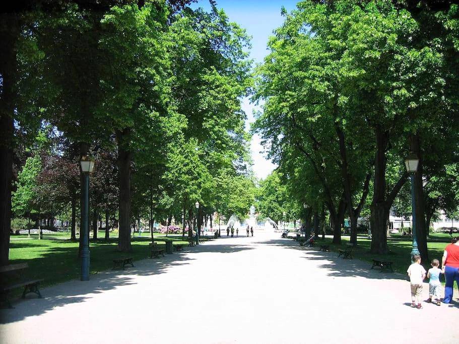 Allée ombragée dans un parc public - LE LOVELYHOME au Centre ville avec SPA JACUZZI et SAUNA proche gare et parking gratuit