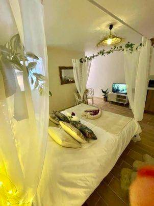 Photo du logement - LOVER'S ROOM TROPIC - Verton