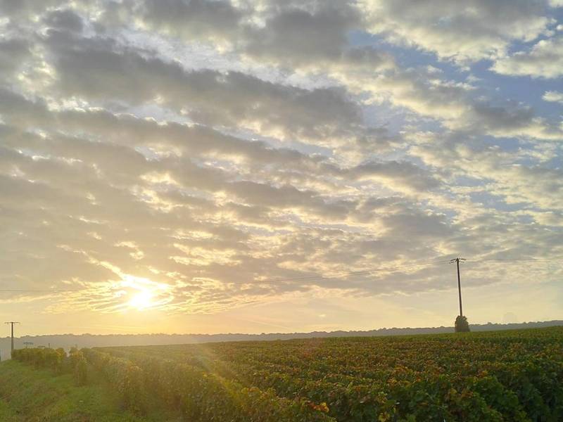 Photo du logement - LoVe & ReLaX