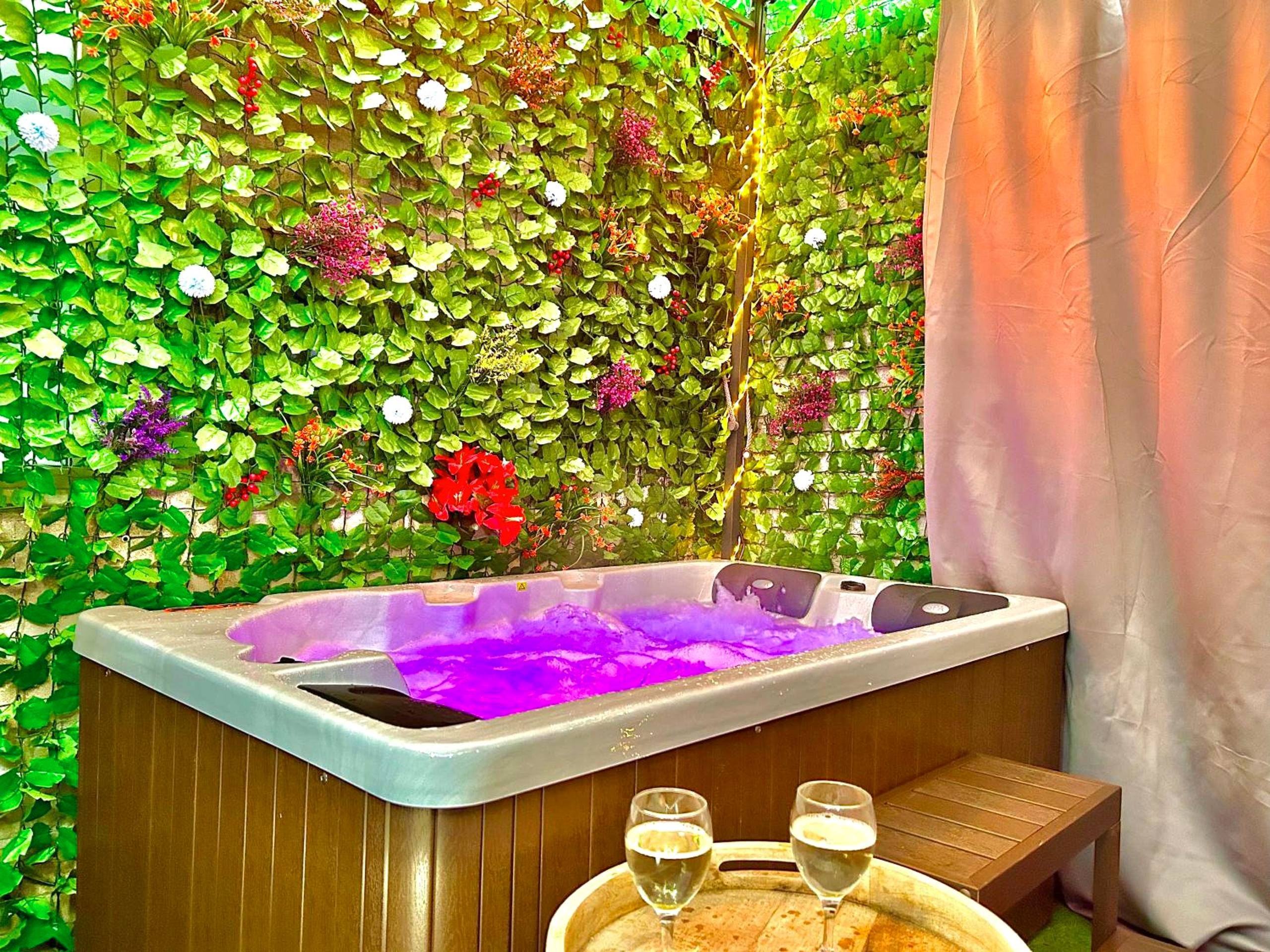 Photo du logement - La lover’s jungle - Sens