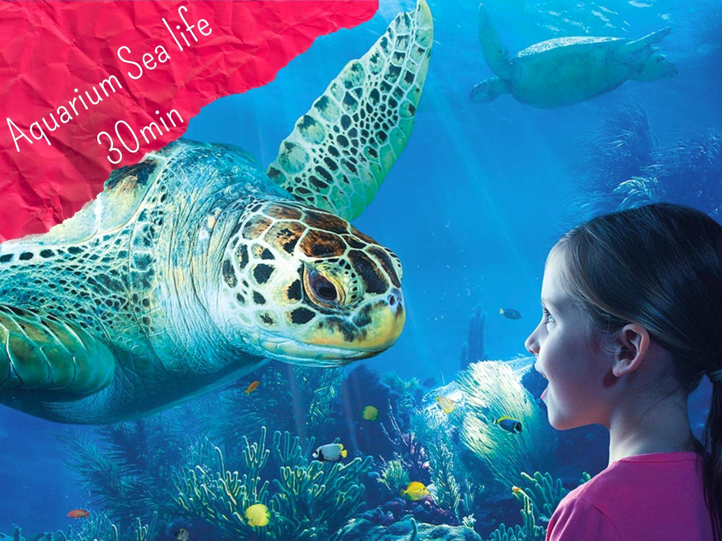 Photo du logement - LoveSparadise - Suite Le Secret