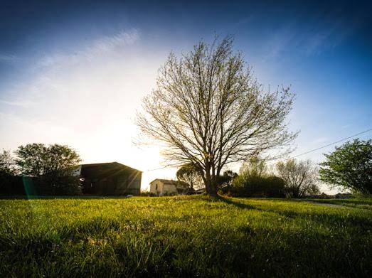 Photo du logement - lov'HOME