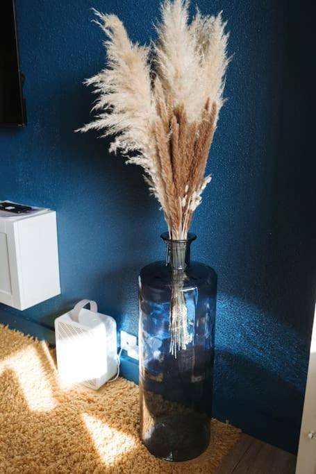 Photo du logement - LovRoz - Perros - Guirec