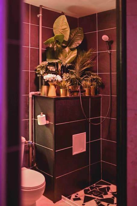 Espace douche et toilettes avec plantes vertes - Le Lux Spa