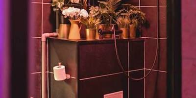 Espace douche et toilettes avec plantes vertes - Le Lux Spa