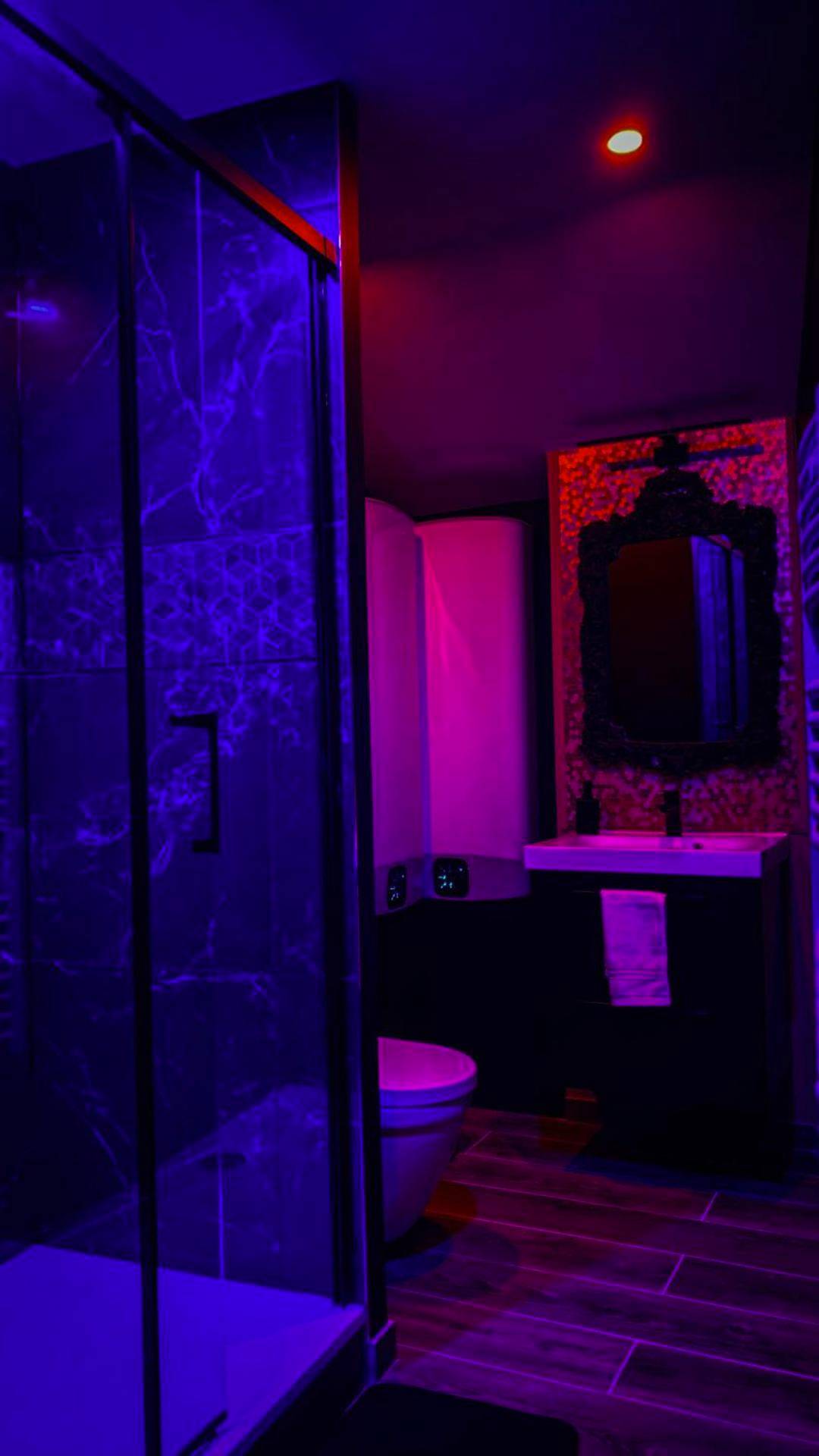 Vue du logement - NOUVEAU - LUXURE - Secret Suite - JACUZZI