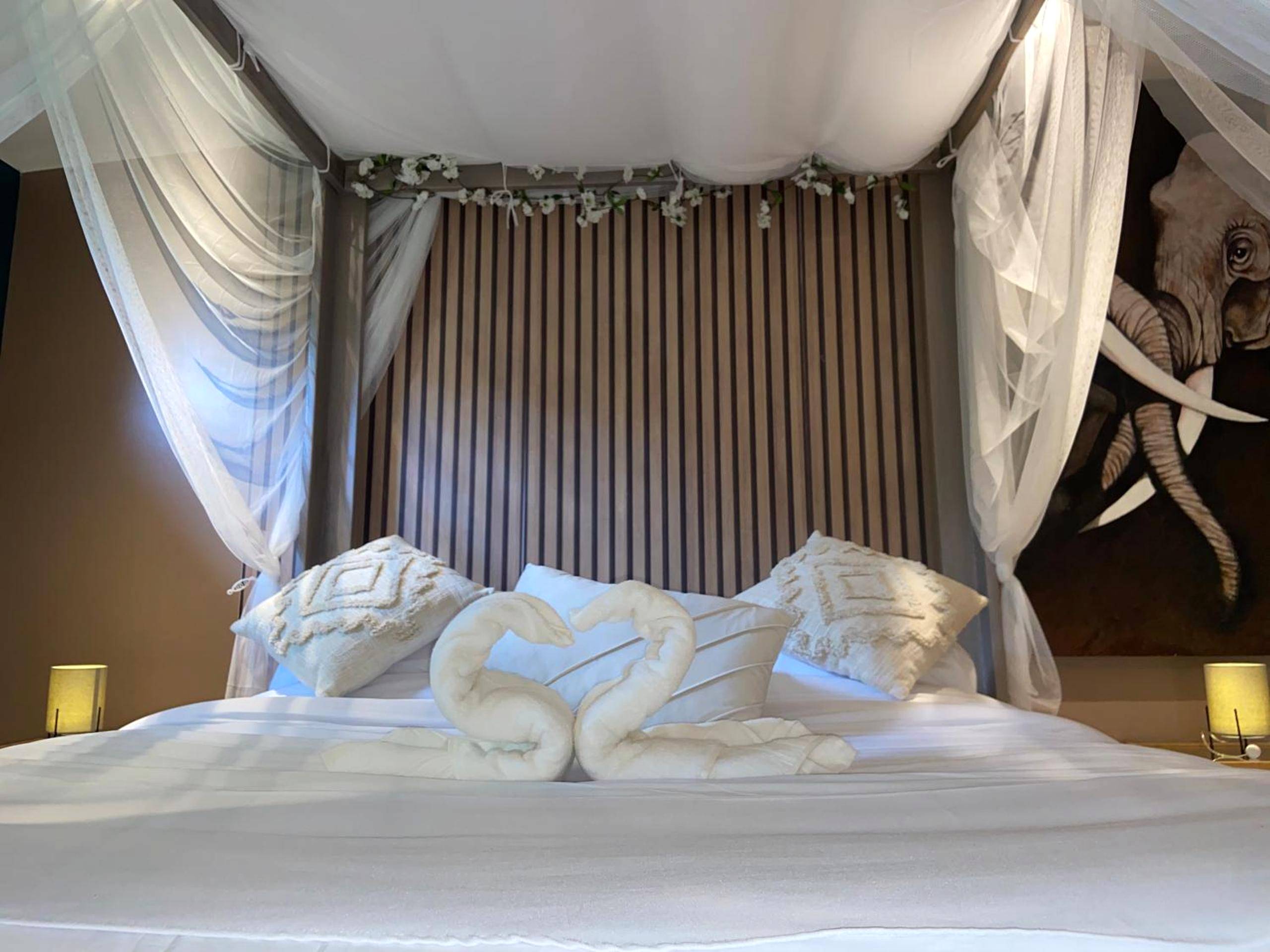 Photo du logement - Lyn'SPA