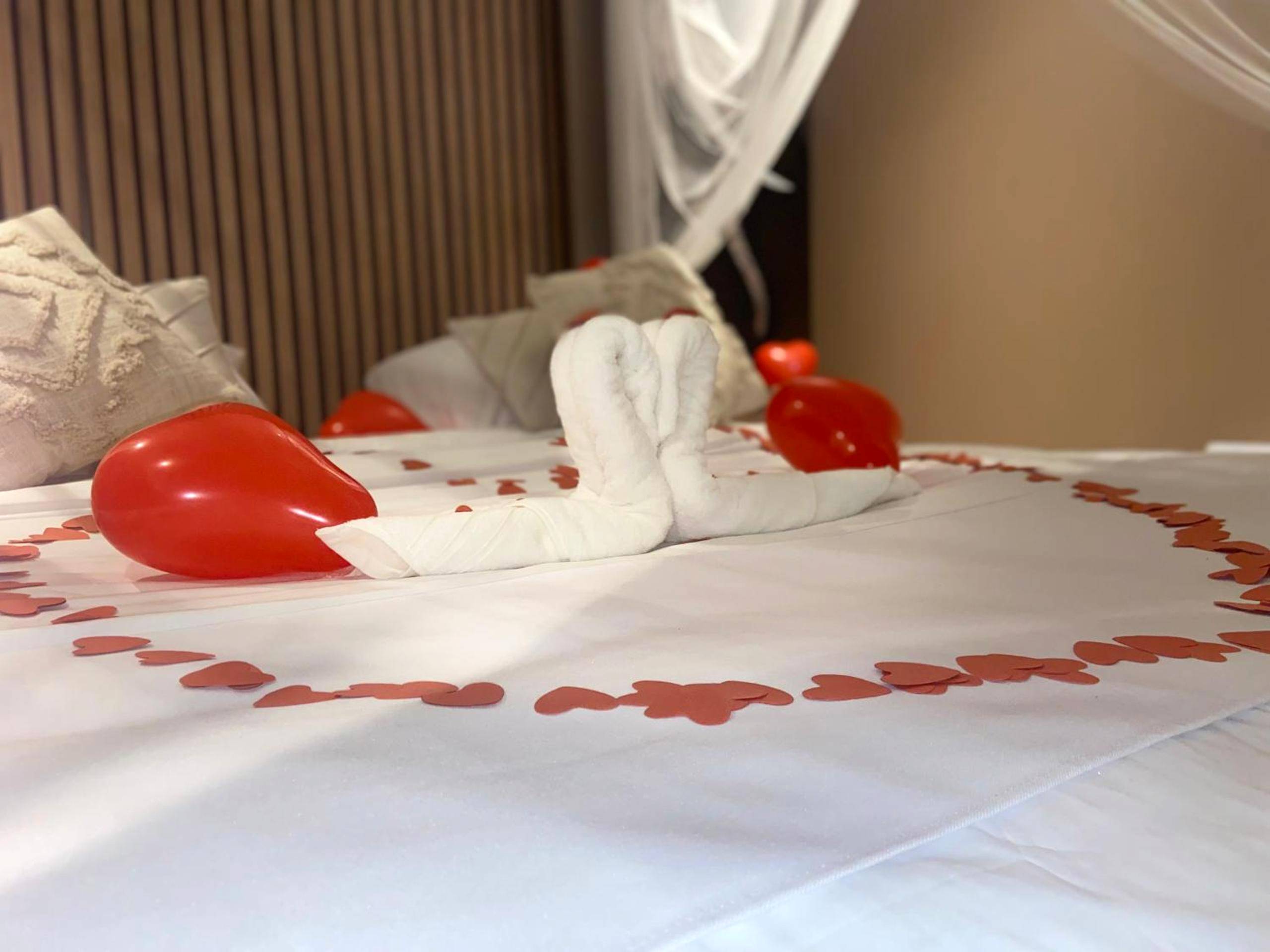 Photo du logement - Lyn'SPA