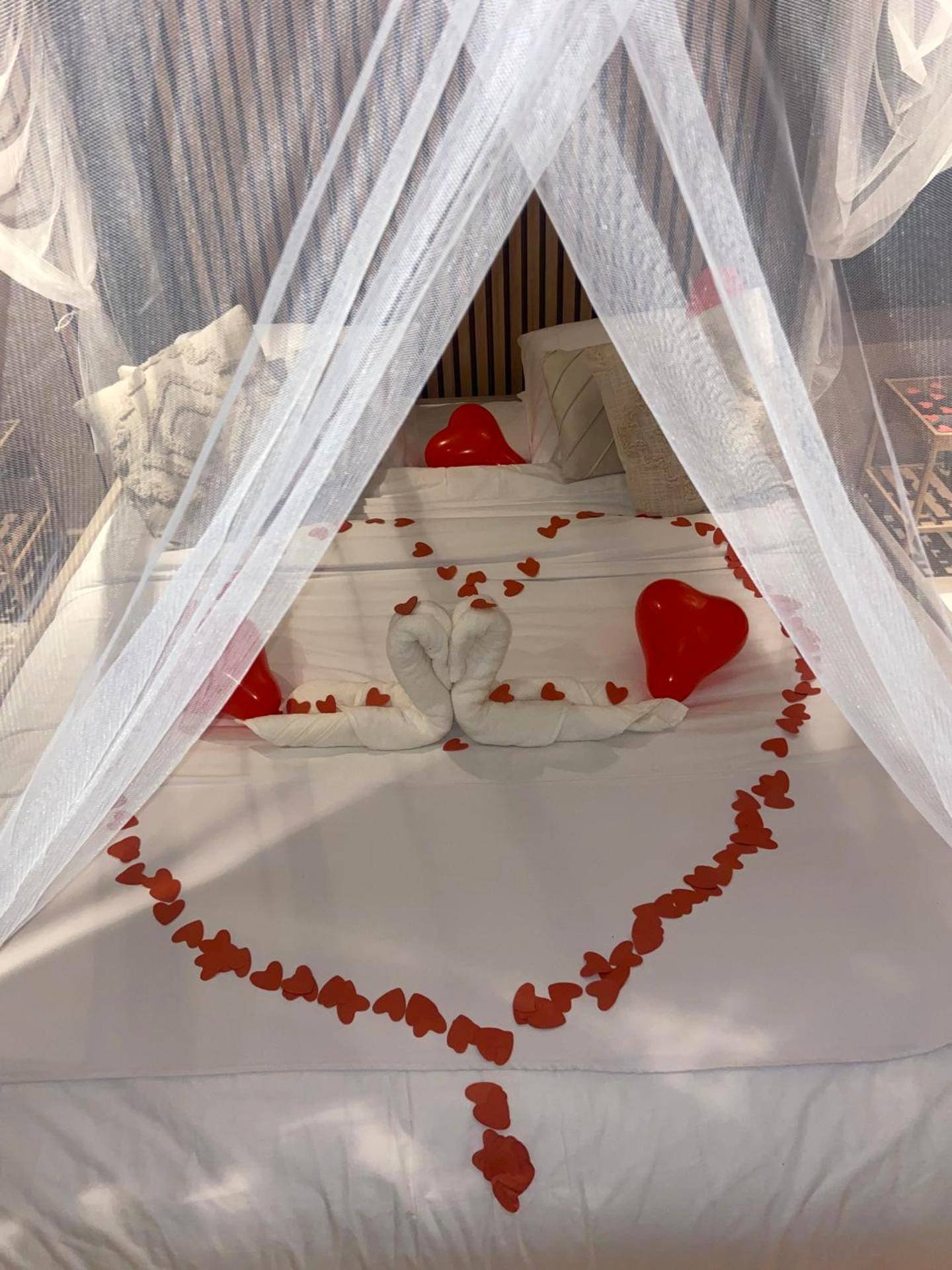 Photo du logement - Lyn'SPA