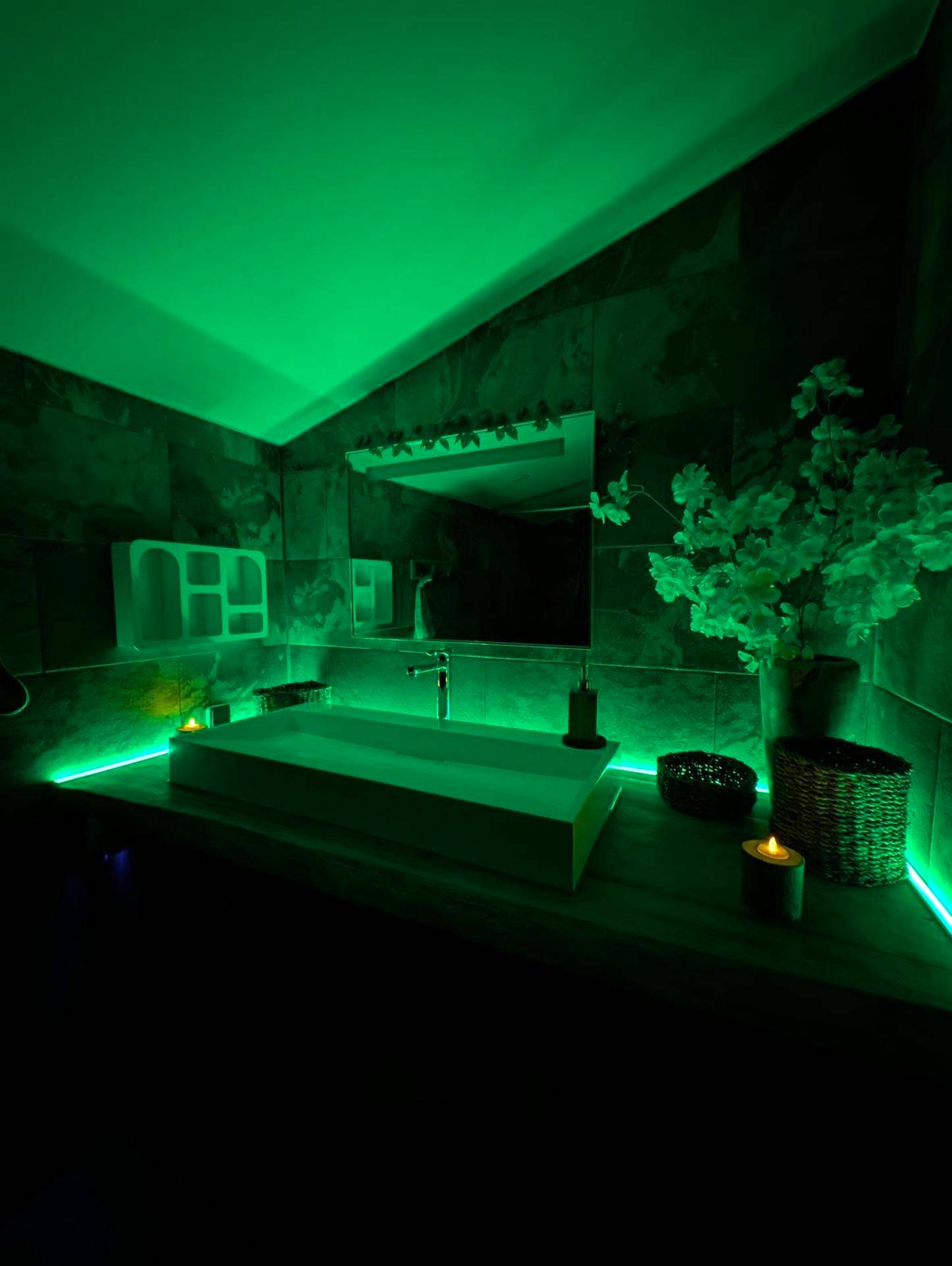 Photo du logement - Maison Insolite avec Spa Privatif