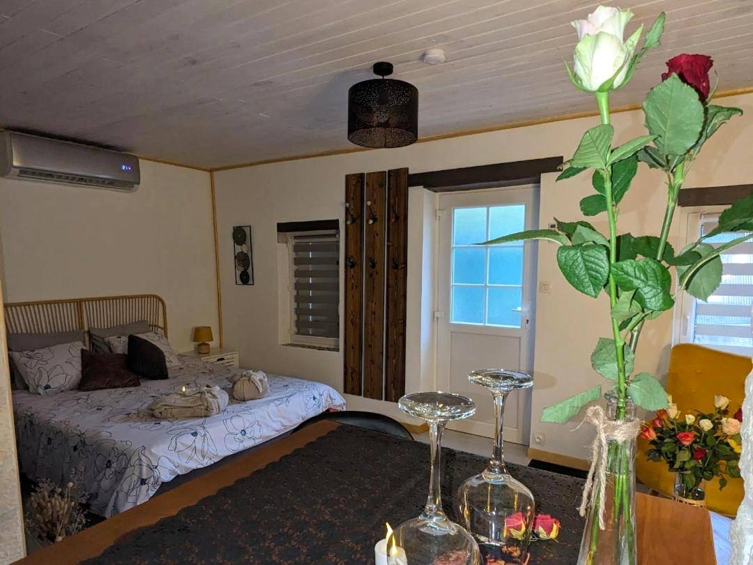 Photo du logement - maison avec jaccuzi privatif - Agen