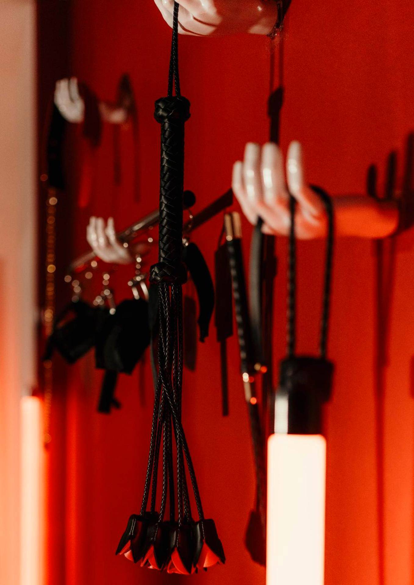 Photo du logement - Maison M Rubis Maison Intime à 3 ambiances aux portes de Bordeaux - Paris