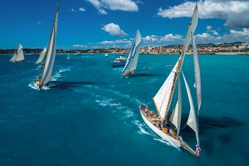 Photo du logement - MAISON SAFRANIER villa balnéo vieil antibes - Antibes