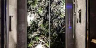 Douche à l'italienne avec fond végétal éclairé - Majord'Home Spa 5* - La Source Cœur Vieille Ville