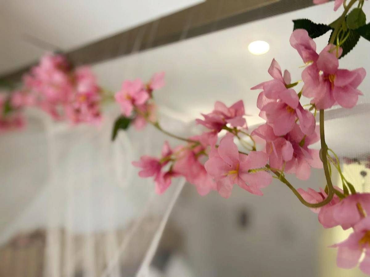 Photo du logement - Le Manille