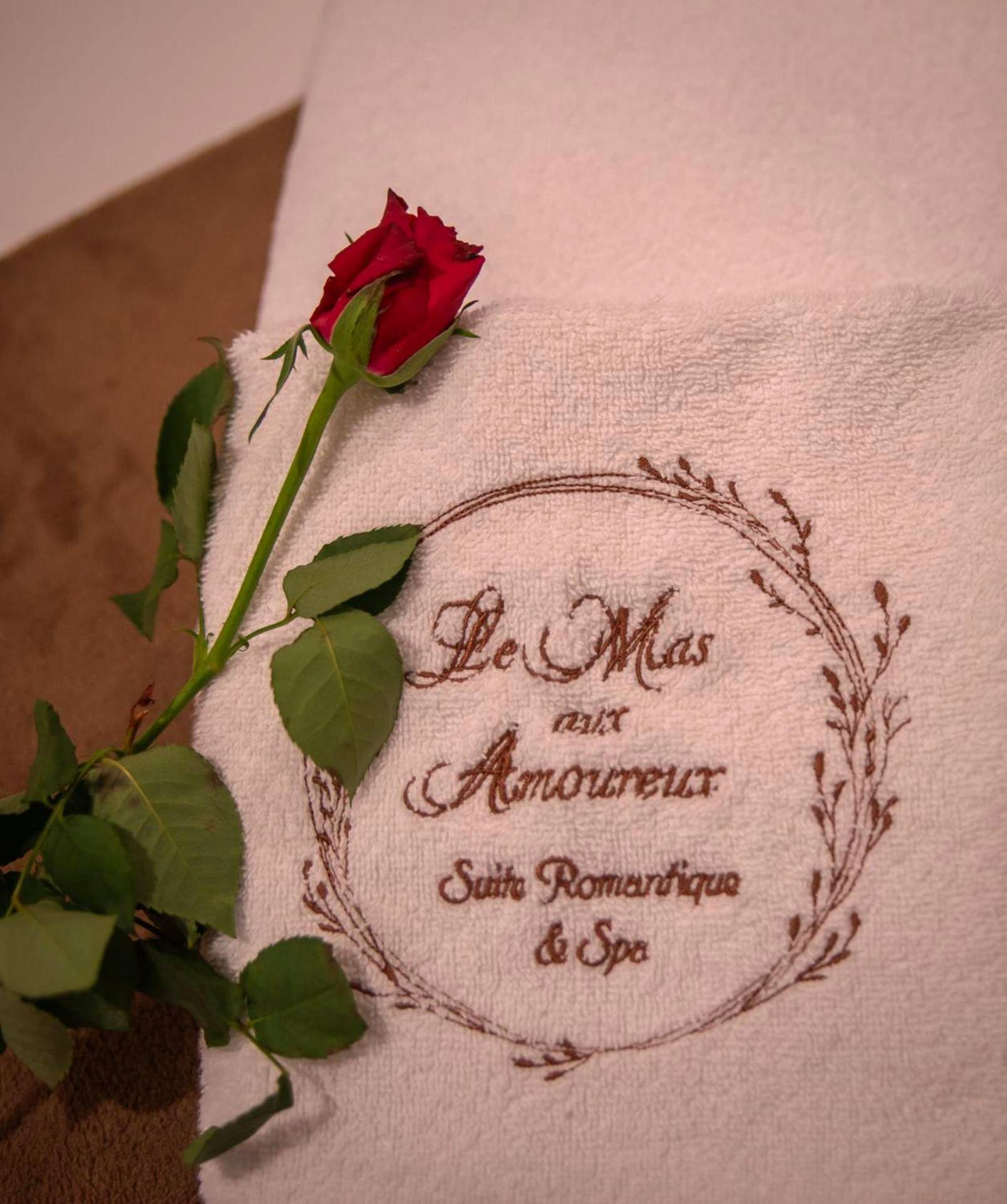 Photo du logement - Le Mas aux Amoureux , Suite Romantique et Spa