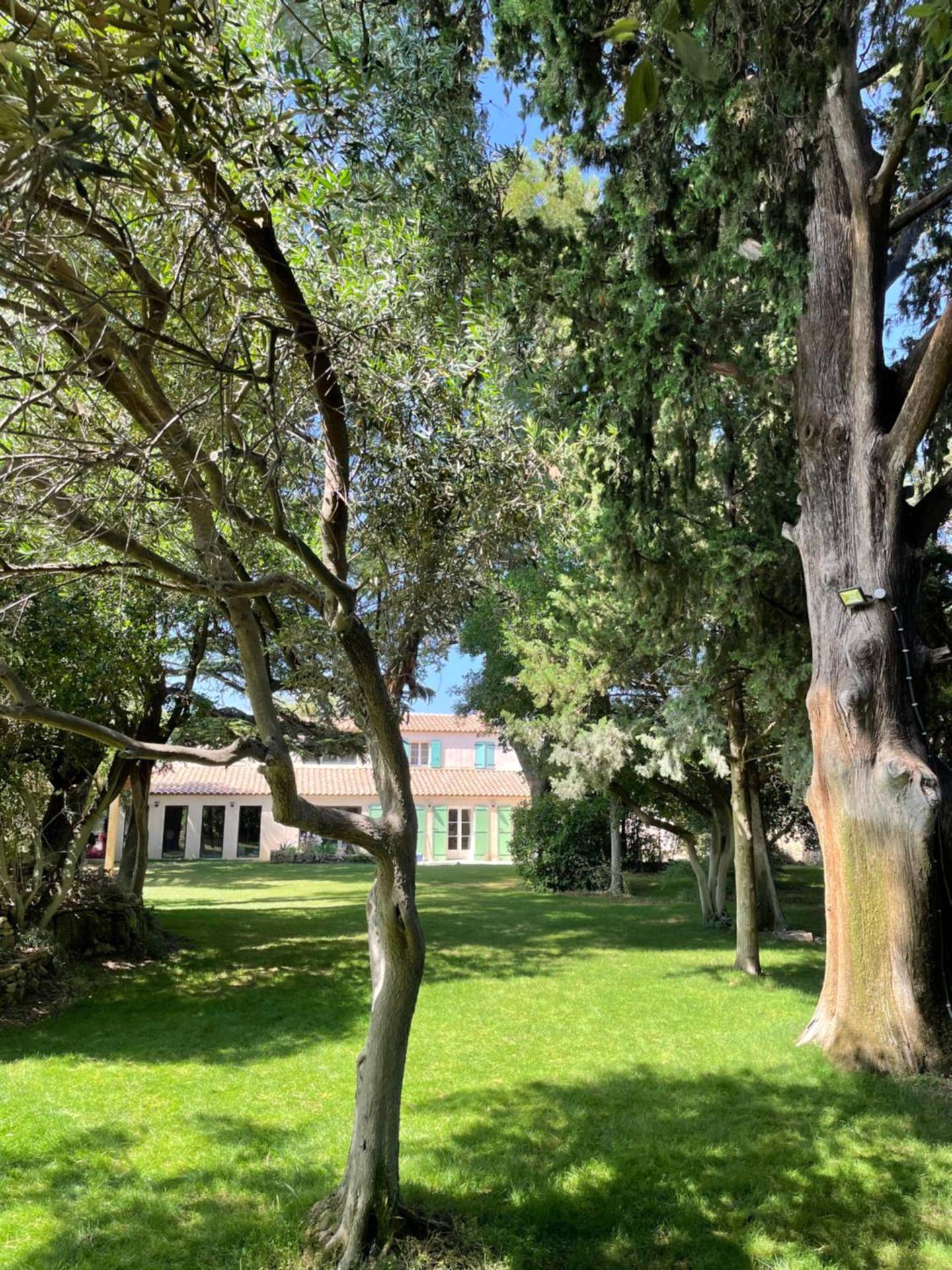 Photo du logement - Mas Hinaiti - Suite romantique avec Spa et écran géant de cinéma