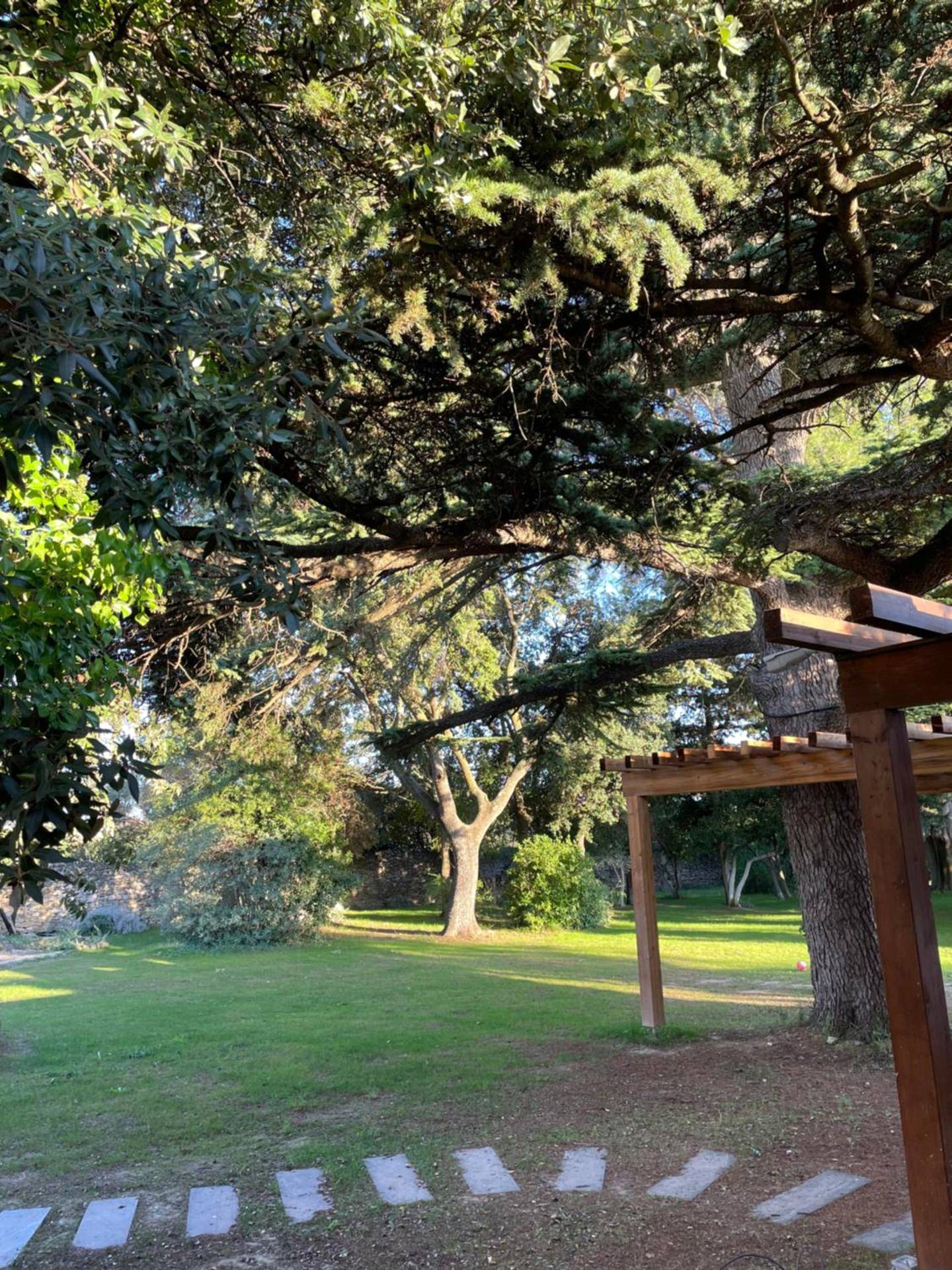 Photo du logement - Mas Hinaiti - Suite romantique avec Spa et écran géant de cinéma