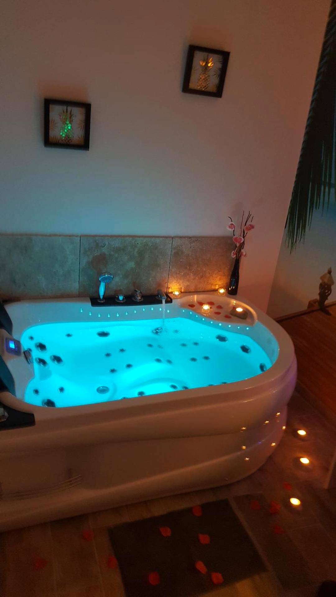 Photo du logement - Le Mas Romantique avec Jacuzzi et Sauna privé